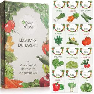 GRAINE - SEMENCE Kit de graines de légumes prêt à pousser , 10 légumes incontournables à planter en un set pratique, Assortiment graines A204
