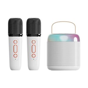 Qiilu Mini Machine Karaoke HiFi Dynamique Légère avec Enceinte Portable et  2 Microphones Fil pour Enfants et Adultes - Cdiscount TV Son Photo