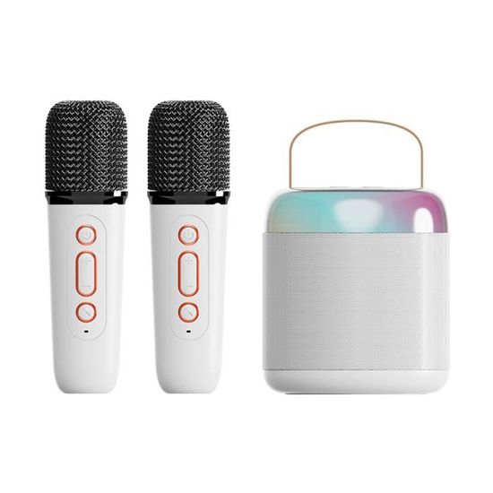 Machine Karaoké Portable PHNIXGAM Avec 2 Micros Sans Fil - Bluetooth 5.3 Et Lumières LED
