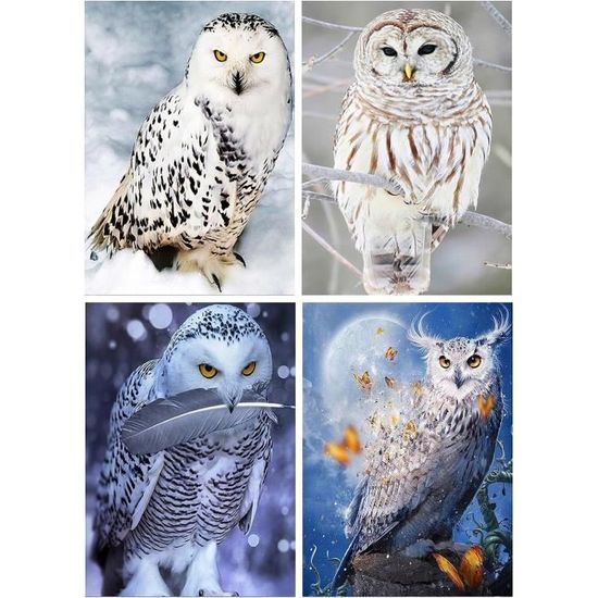 Kit Broderie Diamant Chouette 5D - Peinture Diamant Ronde 30x40 Cm, Complète, DIY, Décoration Murale