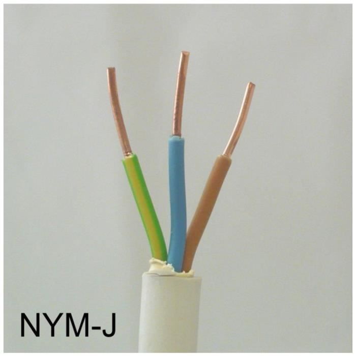 Waskönig-Walter 5 Câble électrique NYM-J 3 x 2,5 mm2 100 m - NYM-J 3x2,5 100m Ring