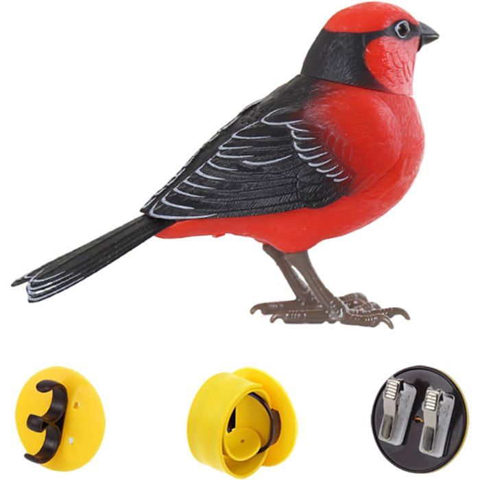BDD Jouet de perroquet d'oiseau, nid de perroquet, balançoire naturelle BDD Jouet de perroquet d'oiseau, nid de perroquet, balançoire naturelle