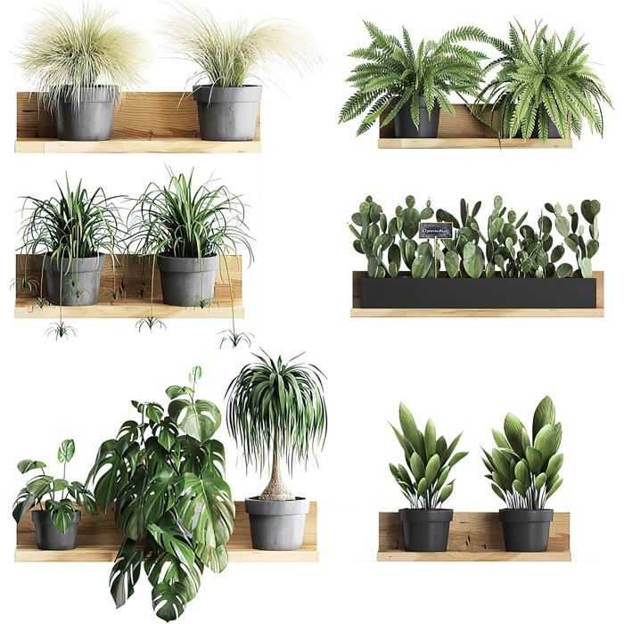 Y1755 Sticker mural plante verte pour étagère salon chambre et bureau - Sticker mural décoratif ACCESSOIRES FABRICATION MAISON