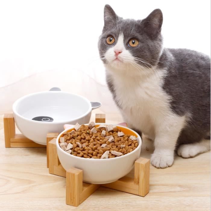 2pcs Gamelles En Ceramique Surelevees Pour Chat Avec Supports En Bois Pour Chats Et Petits Chiens Cdiscount