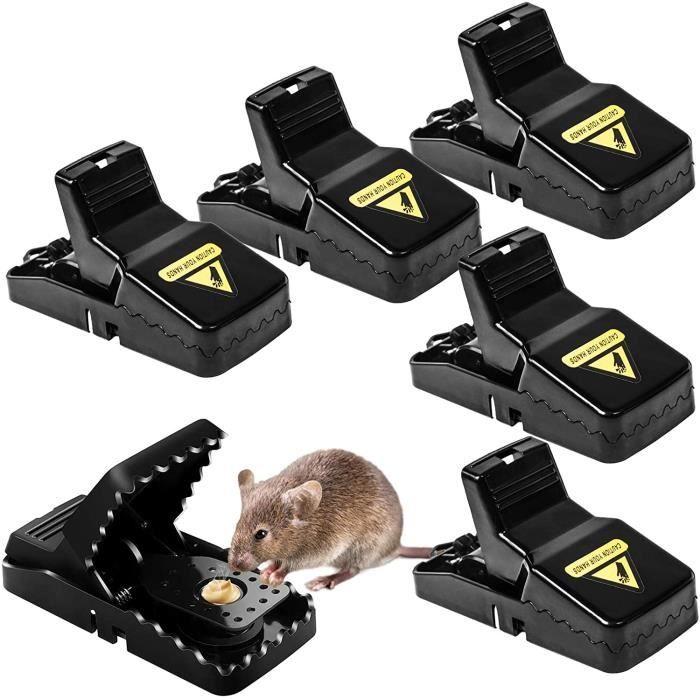 Piège à Colle Efficace pour Chasser Souris et Rats