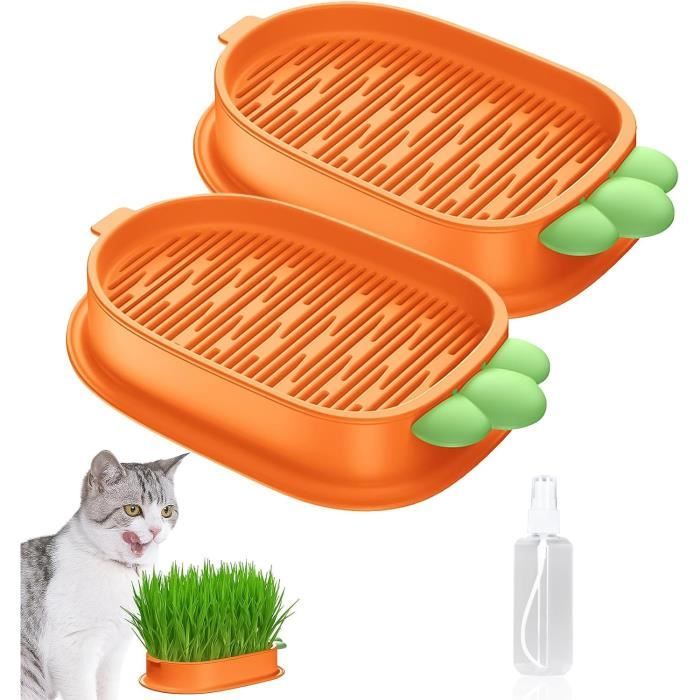 Bacs à Germer Pour Herbe à Chat - Lot De 2, En ABS, Design à Double Couche, Hydroponique Sans Terre, Facile à Utiliser