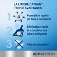 CATSAN Active Fresh Litière minérale agglomérante pour chat 2 boîtes de 5L-1