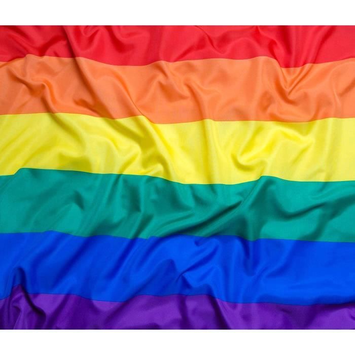Drapeau Fierté Progressif Drapeau Arc En Ciel Gay Pride Drapeau Rainbow 150 X 90cmmini Drapeau Lgbt Pour Accessoires De Décoration De Fête De Carnaval
