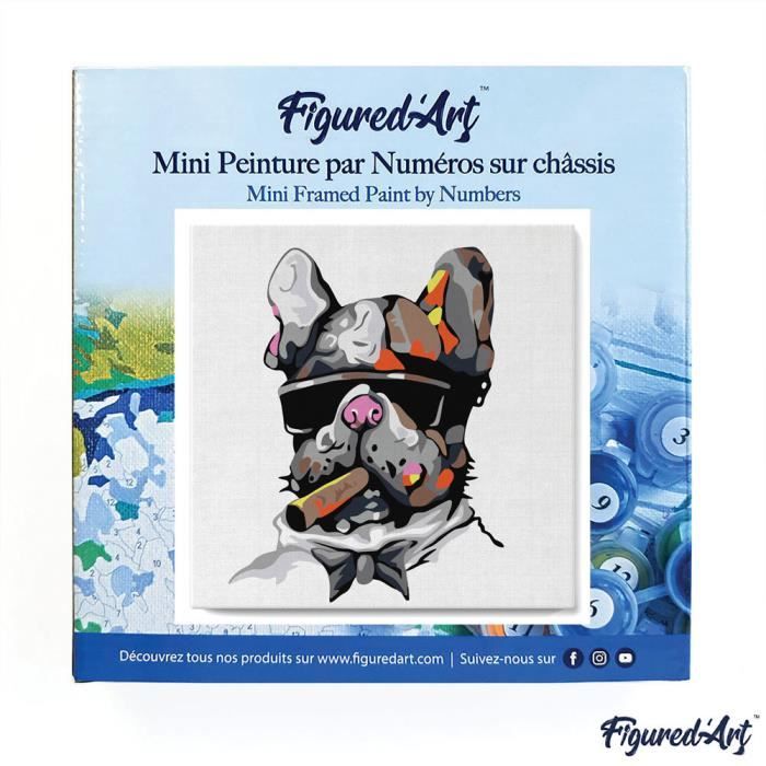 Mini Peinture par Numéros 20x20cm avec cadre Feuillage 2 – Figured'Art