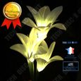 TD® Lampe LED solaire fleur de lys pour éclairage extérieur - Eclairage Extérieur Fleur IP44 étanche pour jardin, sol, arbres,-0