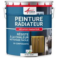 Peinture Radiateur - Fonte acier alu chauffage  RAL 9003 Blanc - Kit 1 Kg jusqu'a 5m² pour 2 couches