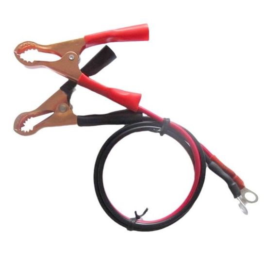 Pinces Crocodiles Carpoint Pour Batteries - 50A - 8cm - Poignées Isolées Couleur - Usage Auto Et Maritime