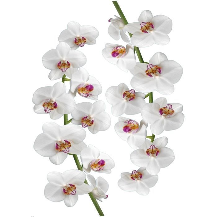 PLAGE Sticker déco - Orchidée1 Planche 48 x 68 cm