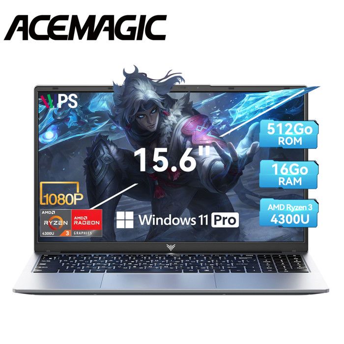 Ordinateur Portable 15.6 avec Processeur Ryzen 3 4300U(6M Cache Jusquà