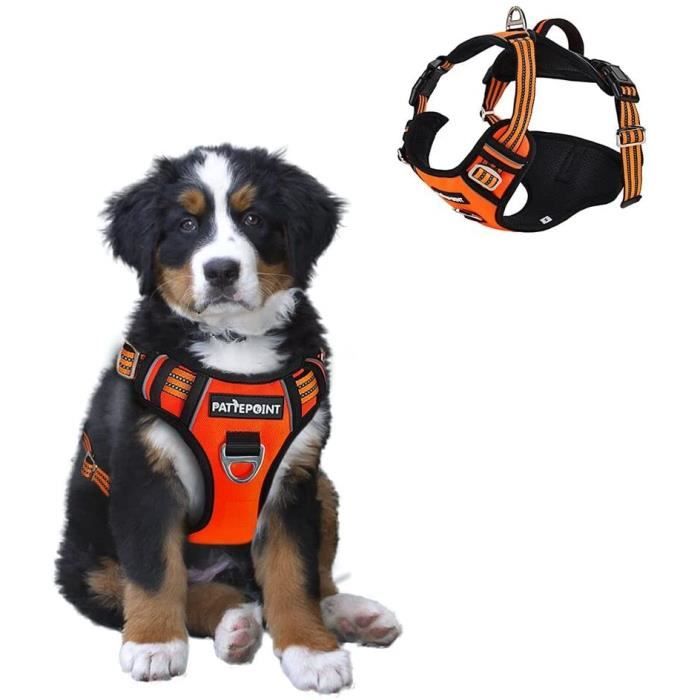 Pattepoint Harnais Chien Anti Traction Dog Vest Harness, Reglable