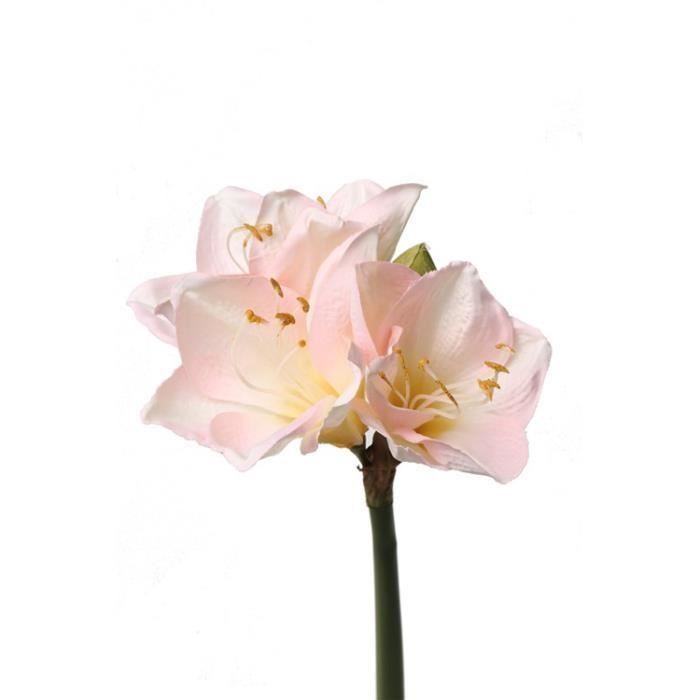 Tulipe artificielle rose élégant et Amaryllis acrylique Cube florale 