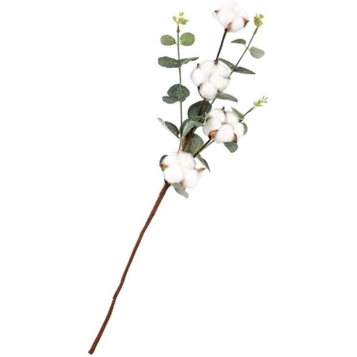 Fleur de Coton Séchée Tiges de Coton Naturel avec des Feuilles D'eucalyptus  Branche de Fleur Séchée Branches de Guirlande de Bo[655] - Cdiscount Maison