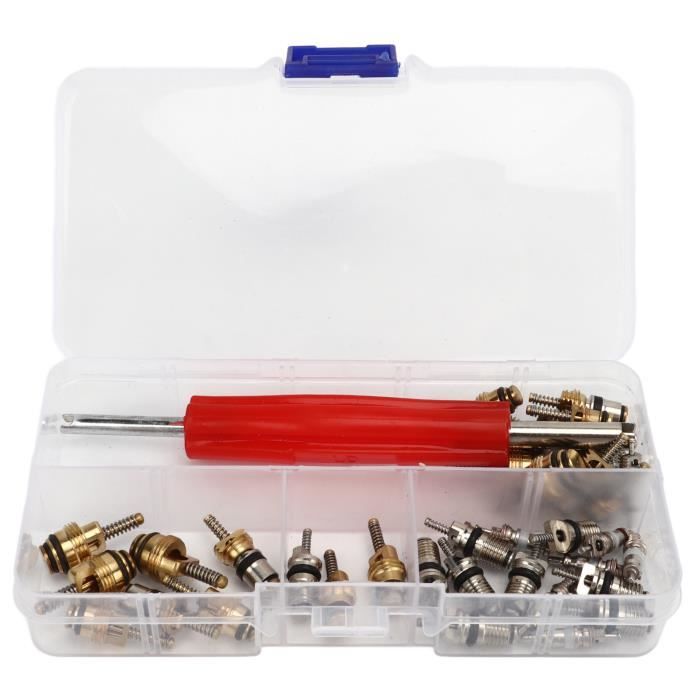 Kit De Noyaux De Valve Pour Climatisation Auto - Remplacement Accessoire - Neuf Métal