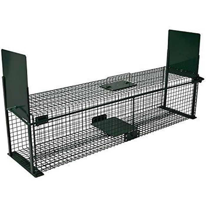 Cage piège pour capture : rat, chat, fouine, renard