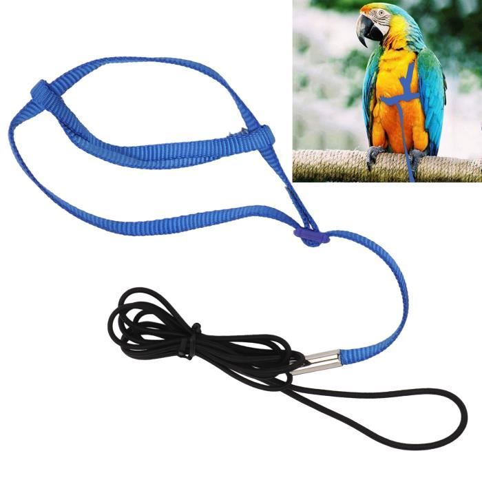 Harnais laisse - SURENHAP - XS - Réglable - Pour oiseaux exotiques - Couleur bleu roi