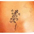 Magic Tattoo Pierre à Tatouage Temporaire- Encre 20 ml +Encreur XL +Salamandre Maori 8,5cm x 4 cm[269]-1