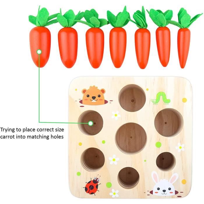 Montessori Jouet en bois à emboîter carottes an cadeau pour fille, garçon et enfant an Montessori Jouet en bois à emboîter carottes an cadeau pour fille, garçon et enfant an