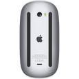 Apple Magic Mouse 2-2