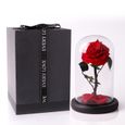 cadeaux pour femme anniversaire JTTVO La rose enchantée de La Belle et la Bête rose eternelle cloche en verre fleur éternel-0