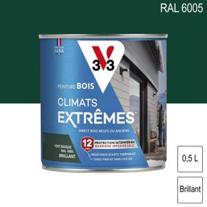 PEINTURE - VERNIS Peinture bois extérieur Climats Extrêmes RAL 6005 
