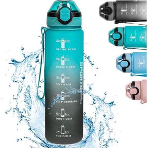 Thermos Sistema Gourde pet to go wave 0,6 litres311 - Cdiscount Sport