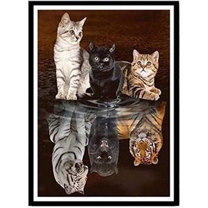 Poster Chat Tigre Cdiscount