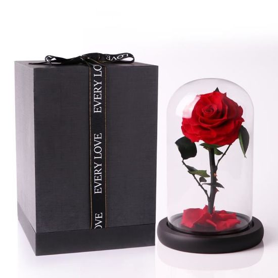 cadeaux pour femme anniversaire JTTVO La rose enchantée de La Belle et la Bête rose eternelle cloche en verre fleur éternel