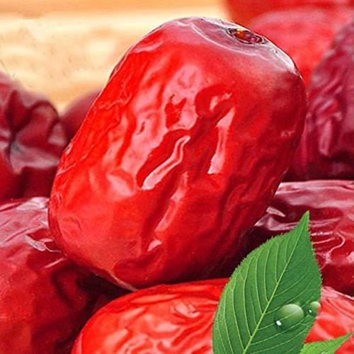 Super jujube Printemps biologique beauté jujube 250g (0.55LB) tisane jujube thé odorant fleur plante tisane thé vert thé vert thé br
