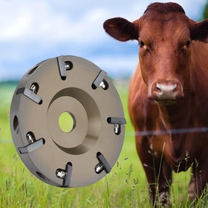 Électrique bétail moutons bovins chevaux sabot coupe disque plaque outil avec 7 lames-SHC
