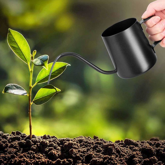 Petit Arrosoir 350 Ml En Inox – Bec Long Pour Plantes Succulentes, Bonsaï Et Intérieur - 9