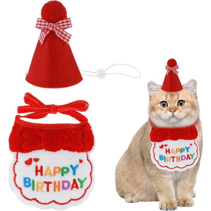 Chapeau et Écharpe pour Animal de Compagnie Bandana Mignon pour Chiot et Chat Fournitures de Fête pour Chiot Décorations Brodées