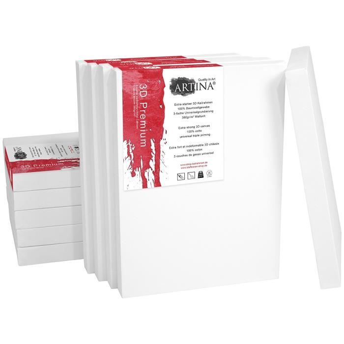 Lot De 2 Châssis Avec Toile À Peindre 100 % Coton 280 G-M² Pour Peinture À L'Huile Et À L