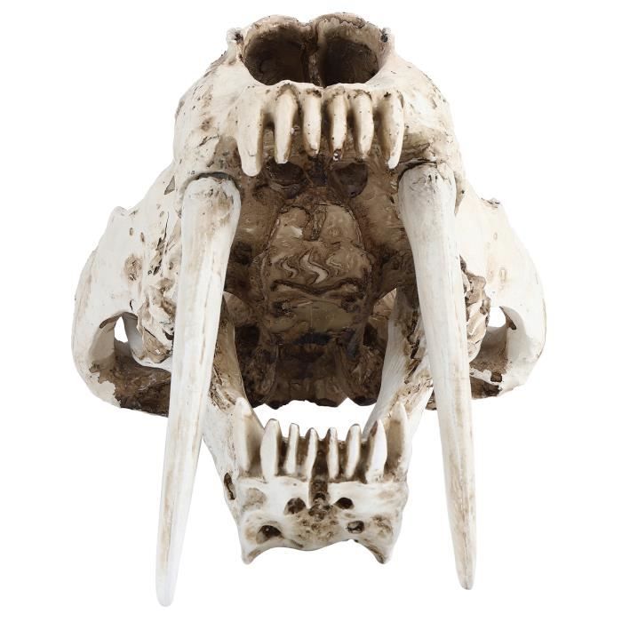 SION L-Collier Pendentif D'amour En Acier Inoxydable Pour Hommes, Mode Vintage, Bijoux Punk, Cadeau, Livraison Gratuite, Nouveau, 2022