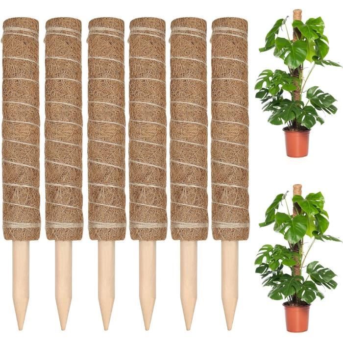25 Tuteurs Bambou 200cm - Diamètre 8-10mm - Naturels & Écologiques - Pour Plantes Grimpantes