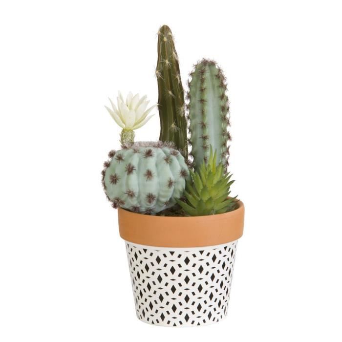 Composition De Cactus Fleuri Et Plantes Grasses En Pot Ethnique Noir Cdiscount Jardin