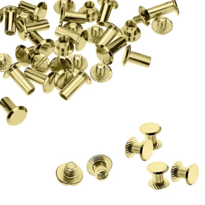 Lot De 100 Vis Pour Reliure M5 X 25 Mm Vis Chicago Vis À Tête Plate