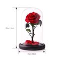 cadeaux pour femme anniversaire JTTVO La rose enchantée de La Belle et la Bête rose eternelle cloche en verre fleur éternel-1
