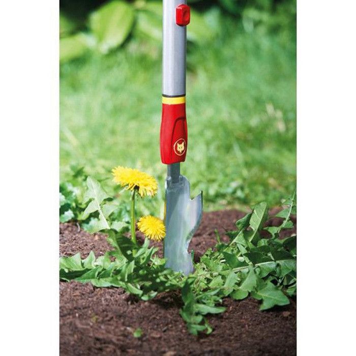 Outils Wolf ECHARDONNOIR Désherbeur - Enlève Mauvaises Herbes Jusqu'aux Racines Avec Poignée Ergonomique
