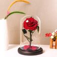 cadeaux pour femme anniversaire JTTVO La rose enchantée de La Belle et la Bête rose eternelle cloche en verre fleur éternel-3