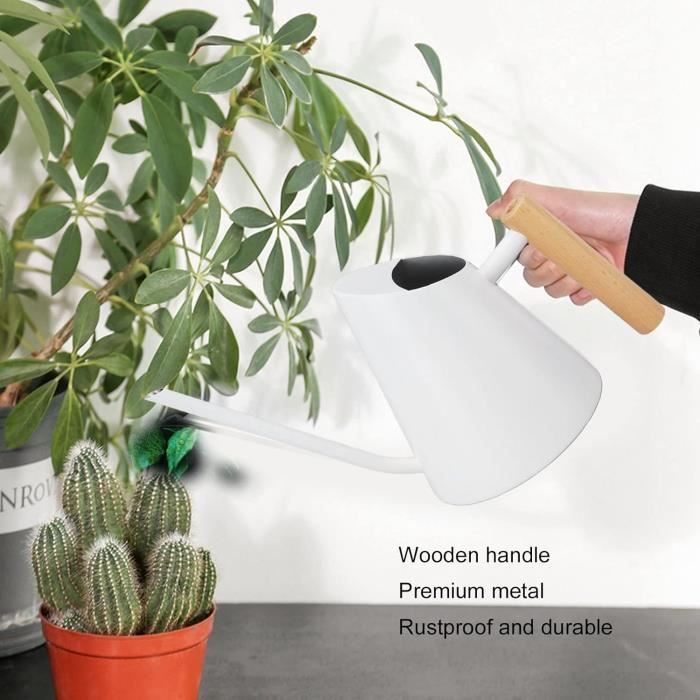 BAUSTER Arrosoir de jardin en plastique pour intérieur et extérieur - 2