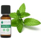 VOSHUILES.COM HUILES ESSENTIELLES & VEGETALES Huile Essentielle de Menthe poivrée 10ML