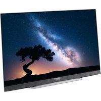 TV OLED METZ 55 UHD (4k) - ANDROID 8,0 - GOOGLE ASSISTANT - Smart TV - Wi-Fi - HDR - Marque METZ
