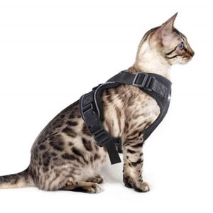 Harnais Veste Deggodech Harnais Gilet De Compagnie Pour Petit Chien Chihuahua Harnais Respirant Chaton Reglable Confortable Reflechissant Harnais Chat Voiture Tissu Dog Vest Harness Pour Petit Chien Chihuahua S Animalerie