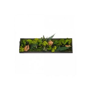 MUR VÉGÉTAL STABILISÉ Tableau végétal CANOPEE Panoramic 70 x 20 cm