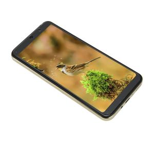 SMARTPHONE Sonew Smartphone Téléphone portable 6,1 pouces pou